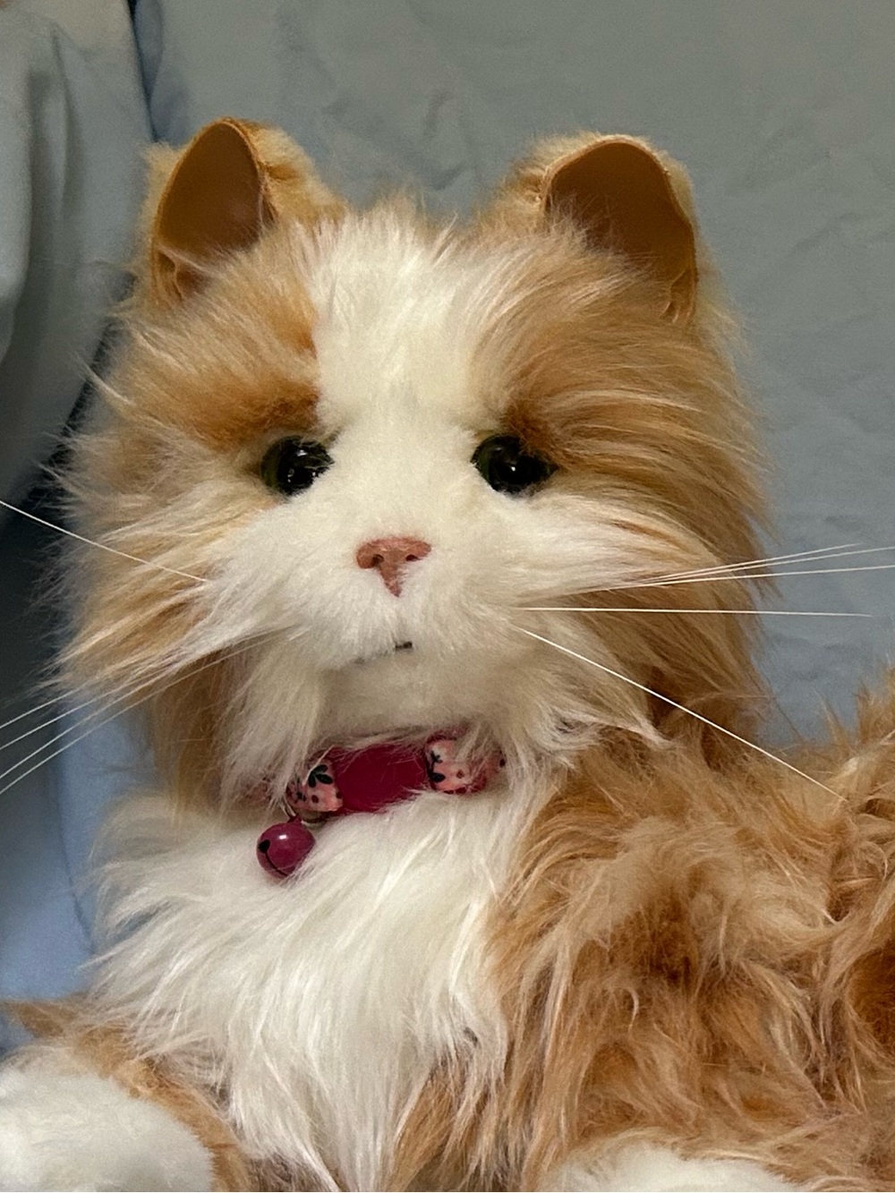 Joy For All Cat